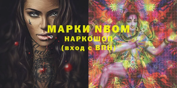 шишки Дмитриев