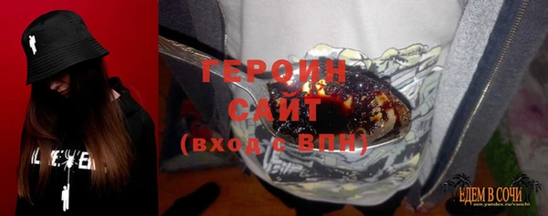 шишки Дмитриев