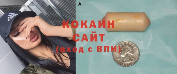 индика Гусь-Хрустальный