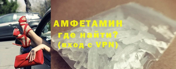 индика Гусь-Хрустальный