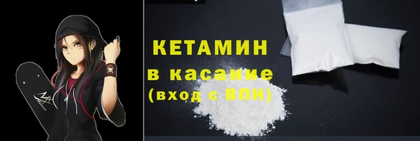 индика Гусь-Хрустальный
