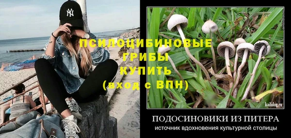 шишки Дмитриев