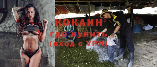 шишки Дмитриев