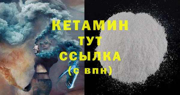 шишки Дмитриев