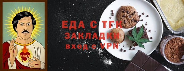 индика Гусь-Хрустальный