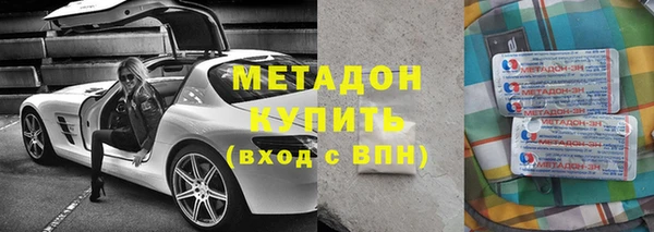 индика Гусь-Хрустальный
