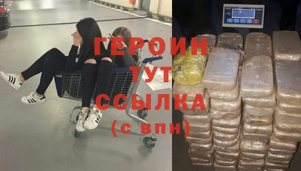 индика Гусь-Хрустальный