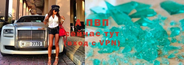шишки Дмитриев