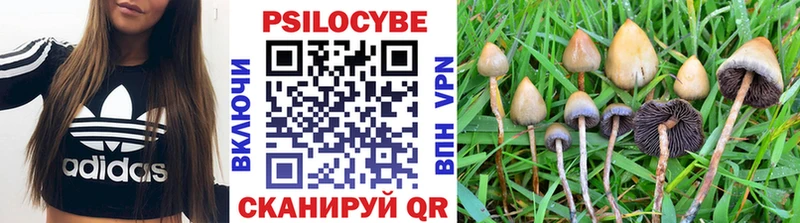 Псилоцибиновые грибы Magic Shrooms  mega сайт  Чёрмоз 